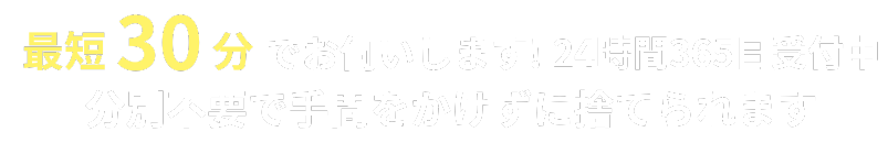 最短30分で回収！分別不要